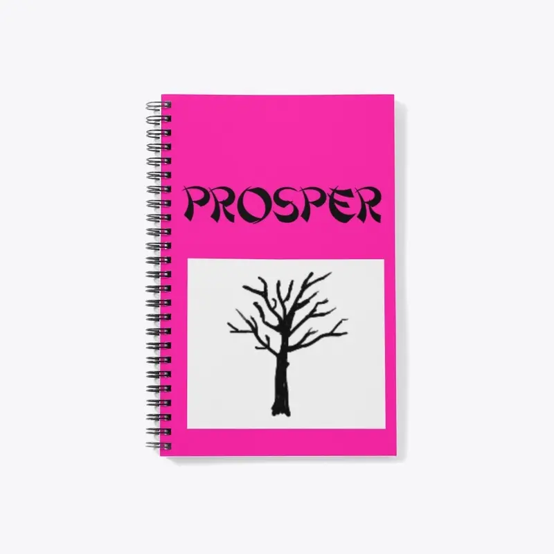 PROSPER NOTEBOOK